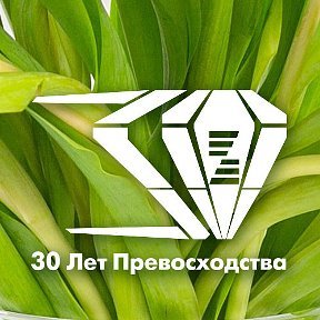 Zepter International | Челябинск, площадь МОПРа, 10, Челябинск