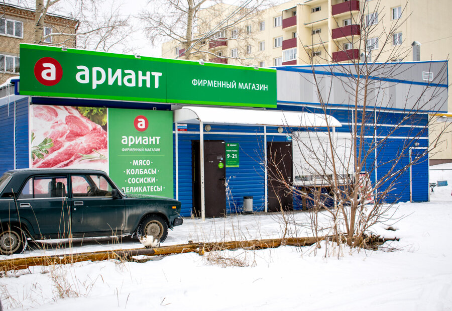 Ариант | Челябинск, ул. Михаила Бубнова, 17А, Куса